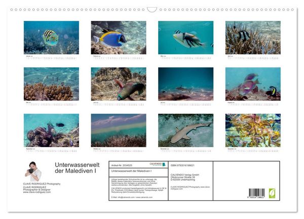 Produktbild: Unterwasserwelt der Malediven I (Wandkalender 2026 DIN A2 quer), CALVENDO Monatskalender