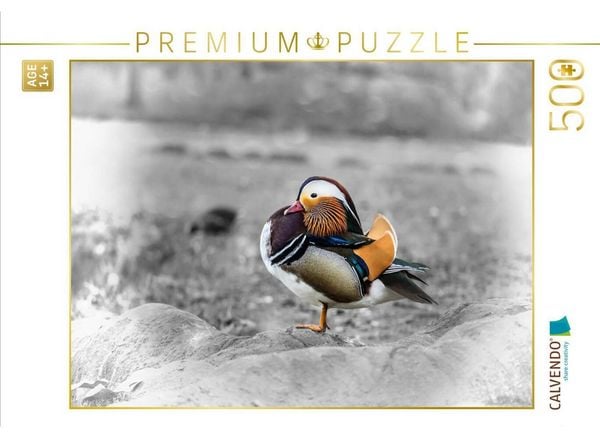 CALVENDO Puzzle Mandarinente-Yoga an der frischen Luft | 500 Teile Lege-Größe 48 × 36 cm Foto-Puzzle für Erwachsene