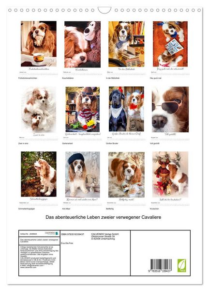 Produktbild: Das abenteuerliche Leben zweier verwegener Cavaliere (Wandkalender 2026 DIN A3 hoch), CALVENDO Monatskalender