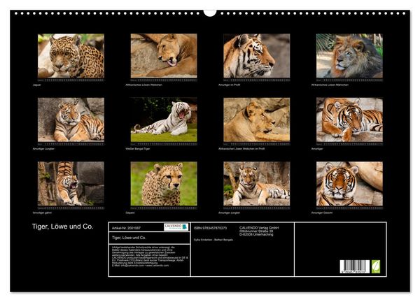 Produktbild: Tiger, L&ouml;we und Co. (Wandkalender 2026 DIN A2 quer), CALVENDO Monatskalender