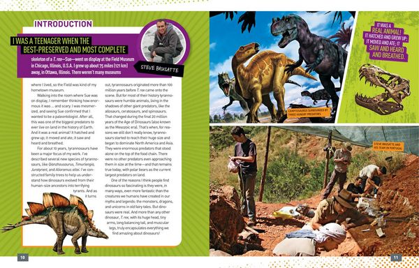 Produktbild: Absolute Expert: Dinosaurs