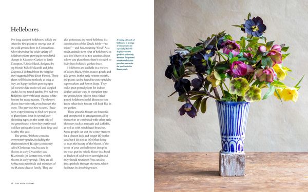Produktbild: Life with Flowers