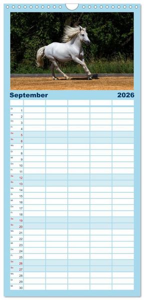 Produktbild: Familienplaner 2026 - Wei&szlig;e Pferde der Camargue in Bayern mit 5 Spalten (Wandkalender, 21 x 45 cm) CALVENDO
