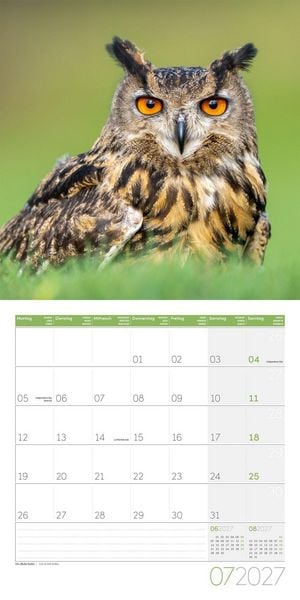 Produktbild: Eulen Kalender 2027 - 30x30 - Art12