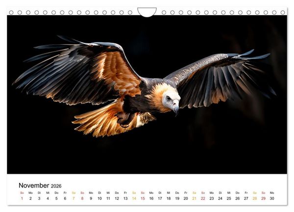 Produktbild: Magie der Tierwelt (Wandkalender 2026 DIN A4 quer), CALVENDO Monatskalender