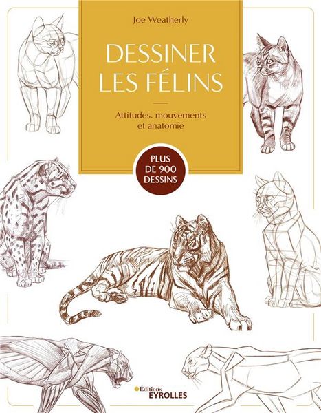 Produktbild: Dessiner les felins