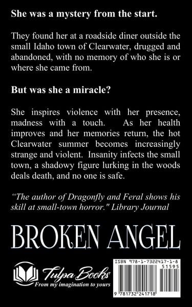 Produktbild: Broken Angel