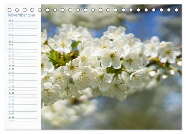 Produktbild: Wenn im Fr&uuml;hling die Natur wieder erwacht (Tischkalender 2026 DIN A5 quer), CALVENDO Monatskalender