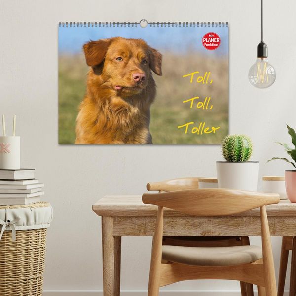 Produktbild: Toll, toll, Toller (Wandkalender 2026 DIN A3 quer), CALVENDO Monatskalender