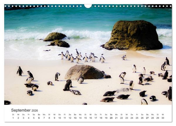 Produktbild: Bezauberndes S&uuml;dafrika (Wandkalender 2026 DIN A3 quer), CALVENDO Monatskalender