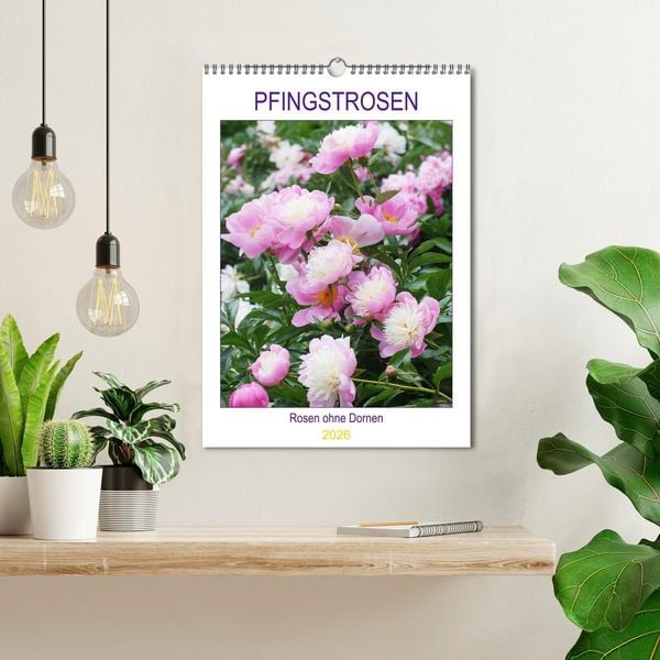 Produktbild: Pfingstrosen Rosen ohne Dornen (Wandkalender 2026 DIN A3 hoch), CALVENDO Monatskalender