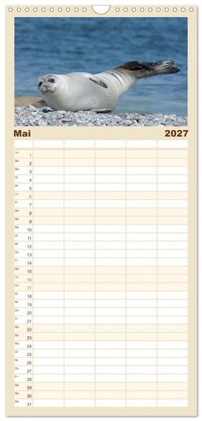 Produktbild: Familienplaner 2027 - Das Leben der Robben mit 5 Spalten (Wandkalender, 21 x 45 cm) CALVENDO