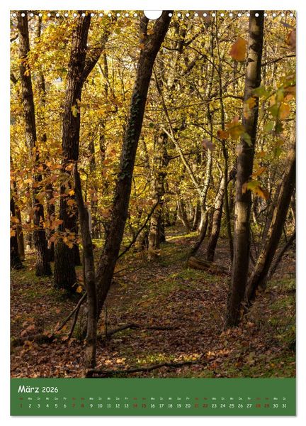 Produktbild: Ich bin dann mal im Wald (Wandkalender 2026 DIN A3 hoch), CALVENDO Monatskalender