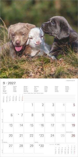 Produktbild: Tierfreundschaften 2027