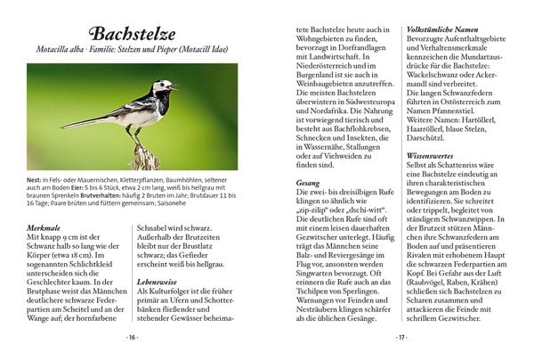 Produktbild: Das kleine Buch: Singv&ouml;gel