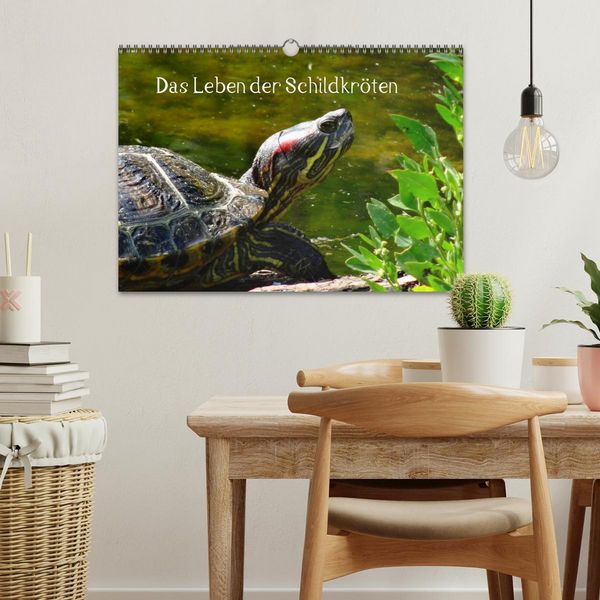 Produktbild: Das Leben der Schildkr&ouml;ten (Wandkalender 2026 DIN A3 quer), CALVENDO Monatskalender