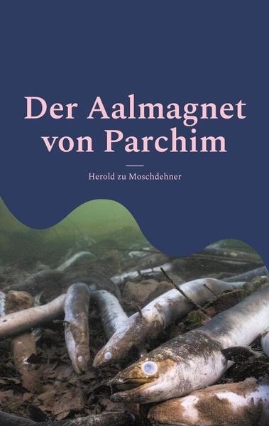 Produktbild: Der Aalmagnet von Parchim