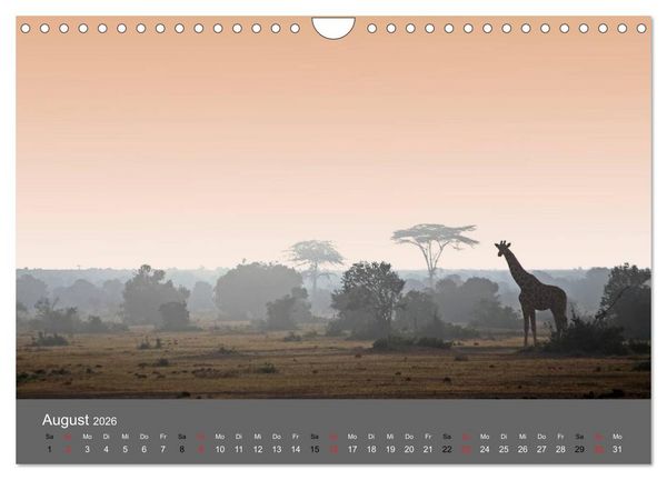 Produktbild: Ich tr&auml;umte von Afrika (Wandkalender 2026 DIN A4 quer), CALVENDO Monatskalender