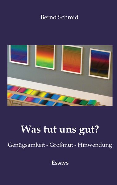 Was tut uns gut?, Taschenbuch von Bernd Schmid, Tredition, 9783384848727