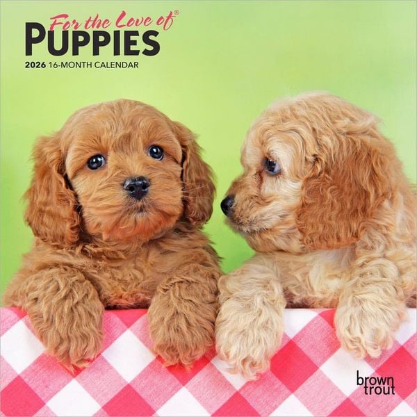 Produktbild: For the Love of Puppies 2026 7 X 14 Inch (Hanging) Monthly Mini Wall Calendar