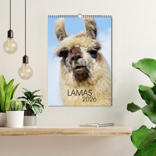 Produktbild: LAMAS (Wandkalender 2026 DIN A3 hoch), CALVENDO Monatskalender
