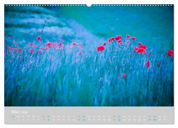 Produktbild: Zauber des Mohns (Wandkalender 2026 DIN A2 quer), CALVENDO Monatskalender