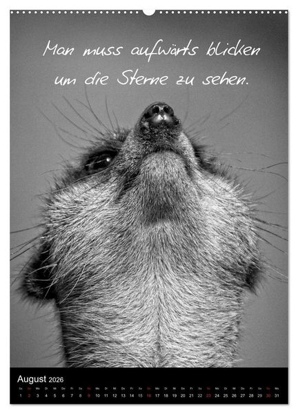 Produktbild: Kluge Spr&uuml;che in Schwarz-Wei&szlig; (hochwertiger Premium Wandkalender 2026 DIN A2 hoch), Kunstdruck in Hochglanz