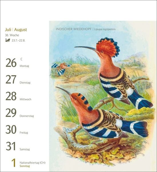 Produktbild: V&ouml;gel Postkartenkalender 2027 - Postkartenkalender mit 53 historischen Zeichnungen