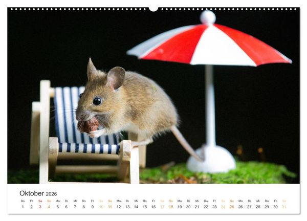 Produktbild: Geheimes Waldleben (Wandkalender 2026 DIN A2 quer), CALVENDO Monatskalender