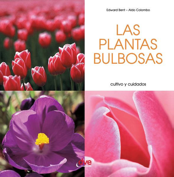 Produktbild: Las plantas bulbosas - Cultivo y cuidados