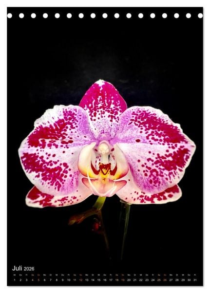 Produktbild: Orchideen - Exoten im Wohnzimmer (Tischkalender 2026 DIN A5 hoch), CALVENDO Monatskalender