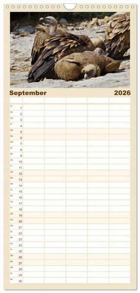 Produktbild: Familienplaner 2026 - Geier - die Gesundheitspolizei! mit 5 Spalten (Wandkalender, 21 x 45 cm) CALVENDO