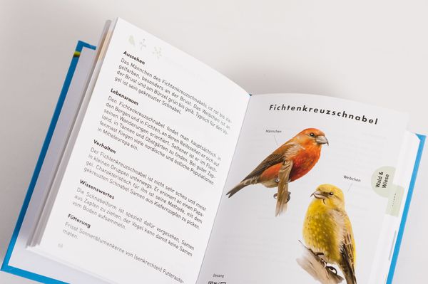 Produktbild: Anaconda Taschenf&uuml;hrer V&ouml;gel. 70 Arten bestimmen und entdecken