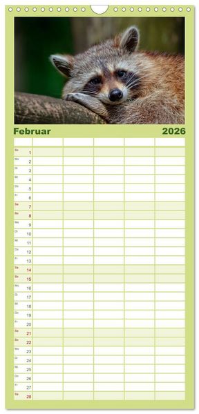 Produktbild: Familienplaner 2026 - Waschb&auml;r - Niedlicher Allesfresser mit 5 Spalten (Wandkalender, 21 x 45 cm) CALVENDO