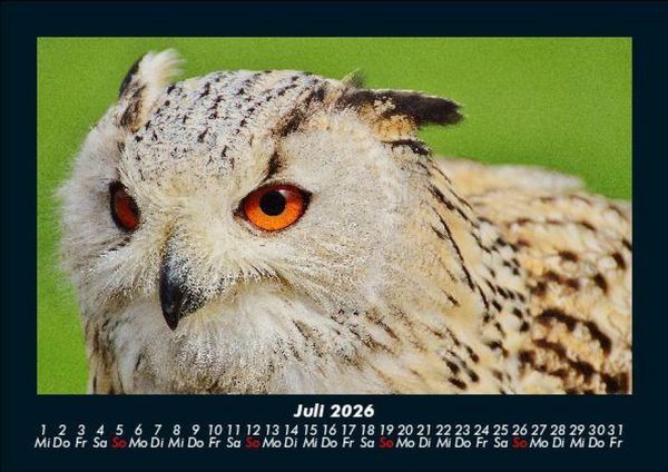 Produktbild: Vogelparadies 2026 Fotokalender DIN A5
