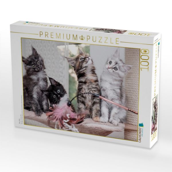 Produktbild: CALVENDO Puzzle New Kitts | 1000 Teile Lege-Gr&ouml;&szlig;e 64x48cm Foto-Puzzle f&uuml;r gl&uuml;ckliche Stunden
