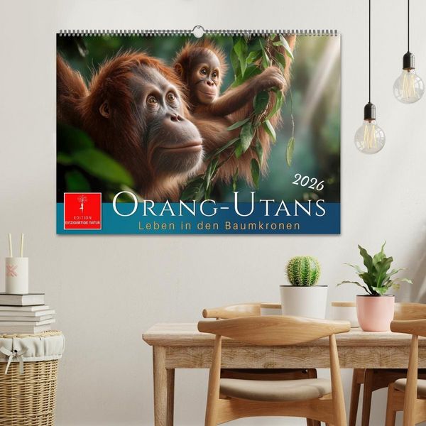 Produktbild: Orang Utans - Leben in den Baumkronen (Wandkalender 2026 DIN A2 quer), CALVENDO Monatskalender