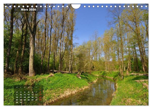 Produktbild: Zauberhafte Waldlandschaften (Wandkalender 2026 DIN A4 quer), CALVENDO Monatskalender