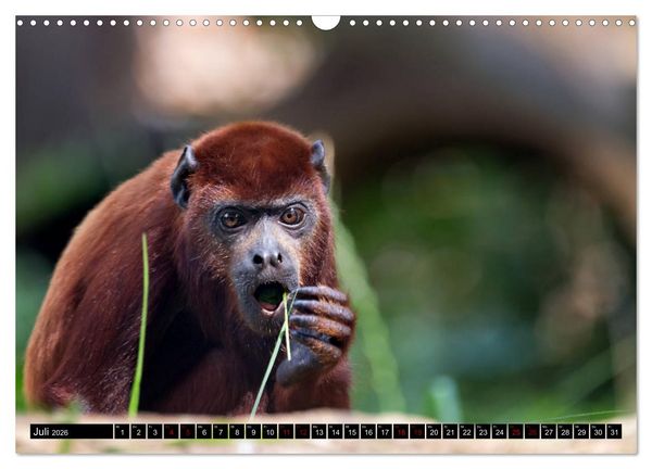 Produktbild: Wild Animals - Wilde Tiere (Wandkalender 2026 DIN A3 quer), CALVENDO Monatskalender