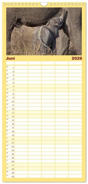 Produktbild: Familienplaner 2026 - Tierbabys 2026 mit 5 Spalten (Wandkalender, 21 x 45 cm) CALVENDO