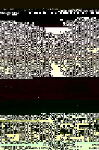 Produktbild: Breaking the Logjam