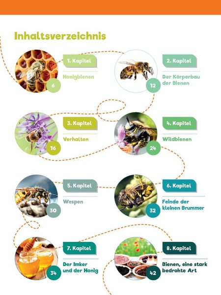 Produktbild: Leselauscher Wissen: Bienen