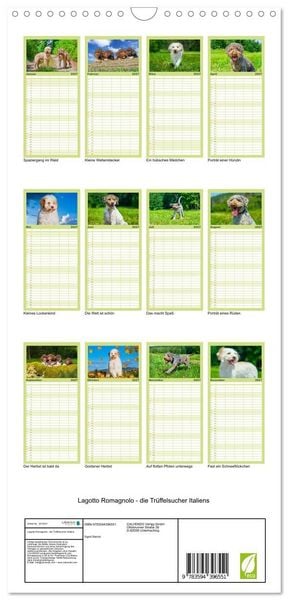 Produktbild: Familienplaner 2027 - Lagotto Romagnolo - die Tr&uuml;ffelsucher Italiens mit 5 Spalten (Wandkalender, 21 x 45 cm) CALVENDO