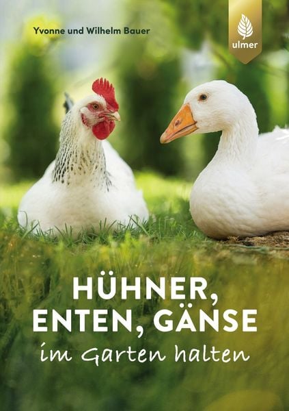 Hühner, Enten, Gänse im Garten halten, Taschenbuch von Wilhelm Bauer,Yvonne Bauer, Verlag Eugen Ulmer, 978-3-8186-1443-0