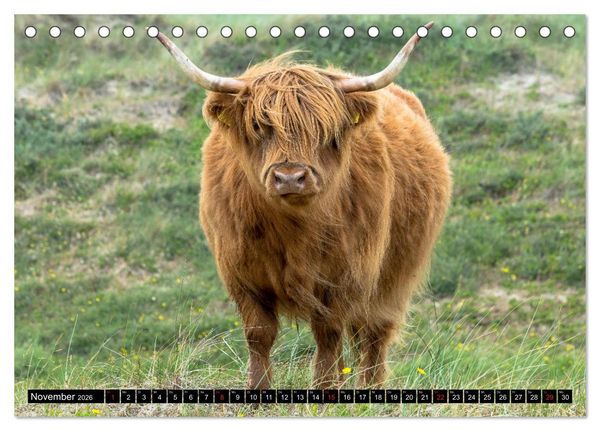 Produktbild: Egmond aan Zee - Nat&uuml;rlich (Tischkalender 2026 DIN A5 quer), CALVENDO Monatskalender