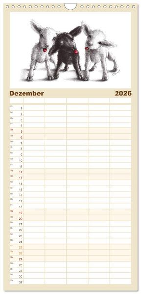 Produktbild: Familienplaner 2026 - owls & friends 2026 mit 5 Spalten (Wandkalender, 21 x 45 cm) CALVENDO