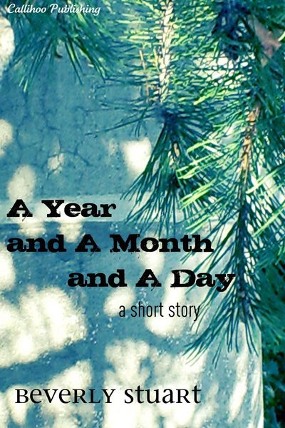 Produktbild: Year and a Month and a Day