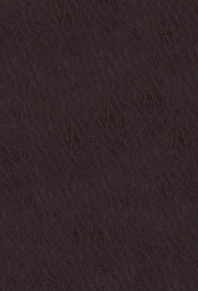 Produktbild: Zondervan: Niv, Life Application Study Bible, Third Edition,