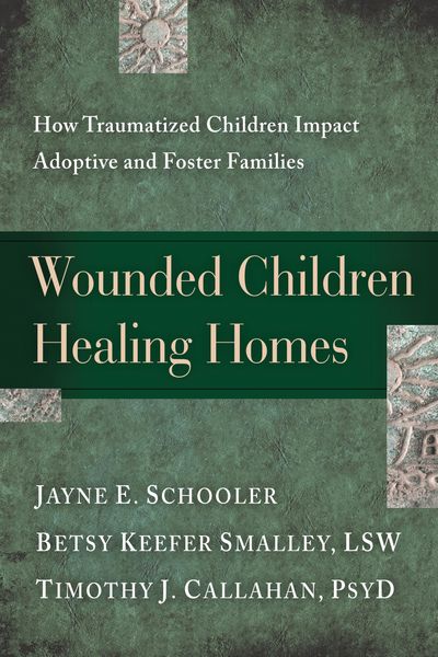 Produktbild: Wounded Children, Healing Homes