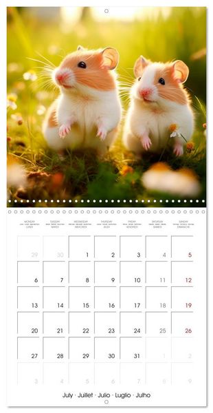 Produktbild: Sweet HAMSTERS (Wall Calendar 2026 12 &times; 12 Inch) CALVENDO 12 Month Wall Calendar